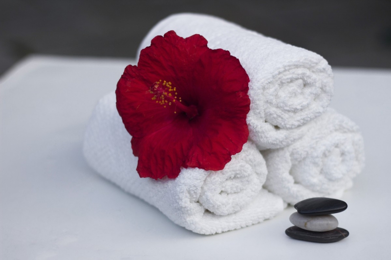 chambre-hote-LA TRINITE-min_towel_hibiscus_clean_care_salon_spa_white_bath-869834